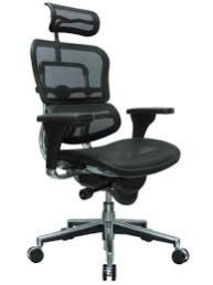Ergonomic Chairs