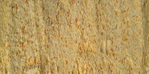 Maize Cattle Feed Powder