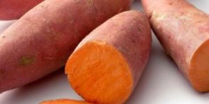 Sweet Potato