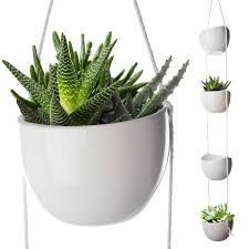 Decorative Planters