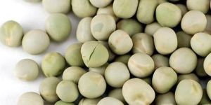 Dried Green Peas