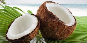 Fresh Coconut