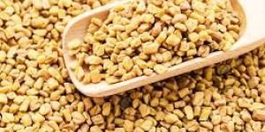 Fenugreek Seeds