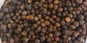 Black Pepper