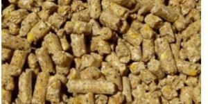 Cattle Feed Pellet