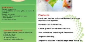 Viflugin Poultry Medicines