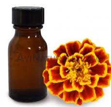 Tagetes Oil