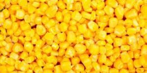Sweet Corn