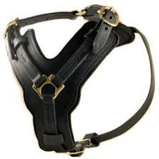 Leather Harness
