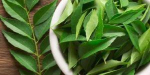 Curry Leaves