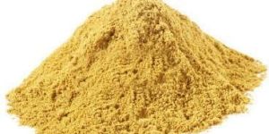 Asafoetida Powder