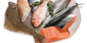 Fresh Fish