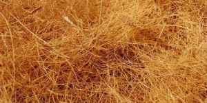 Coconut Coir