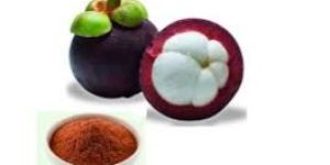 Mangosteen Extract