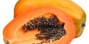 Papaya
