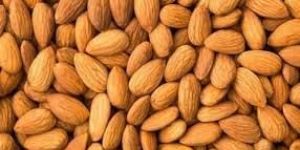 Almonds (Badam)