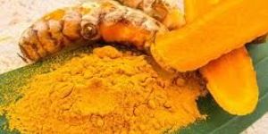 Turmeric Extract