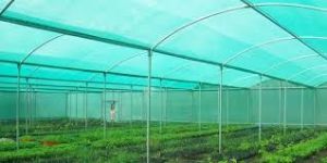Polyhouse Shade