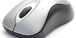 Computer Mouse