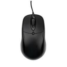 Computer Mouse