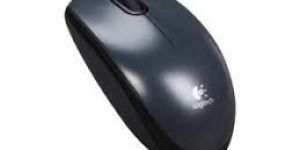 Computer Mouse
