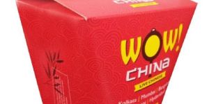 1000ml Noodle Box