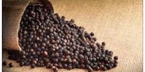 Black Pepper
