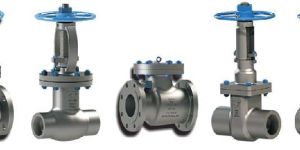 Gate Globe Check Valve