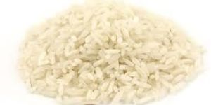 Rice Grain