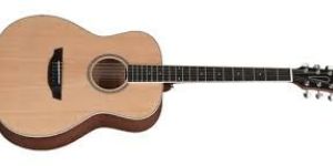 Acoustic Guitar