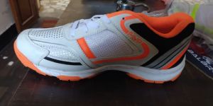 Cricket Shoes