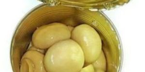 Canned Button Mushroom