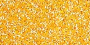 Corn Grit