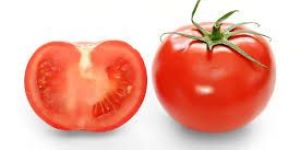 Tomato