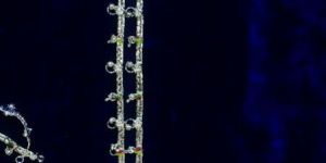 Designer Silver Anklets