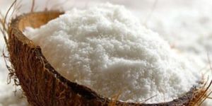 Organic Desiccated Coconut Powder