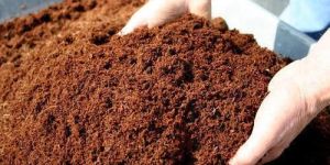 Coir Pith Powder