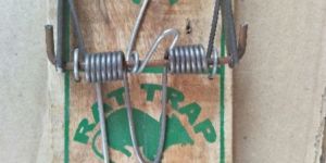 Rat Trap