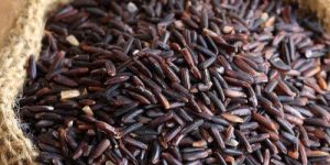 Organic Black Rice