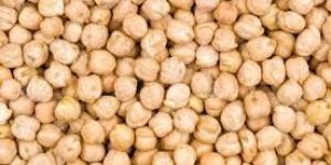 Natural White Chickpeas