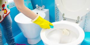 Toilet Cleaner
