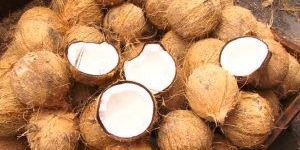 Fresh Coconut