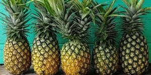 Fresh Pineapple