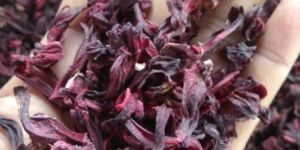 Dried Hibiscus Flowers
