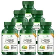 Garcinia Cambogia Magic Bullet Treament for Fat