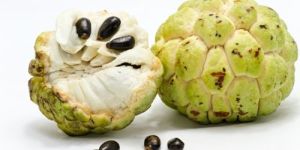 Custard Apple