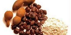 Tamarind Kernel Powder