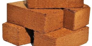 Coir Pith Blocks