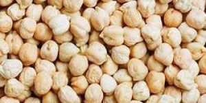 White Chickpeas