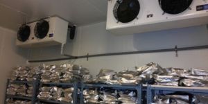 Cold Room Installation Services